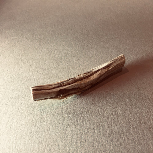 Palo Santo Eau de Parfum
