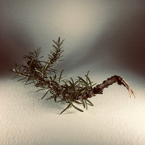 Blue Rosemary Eau de Parfum